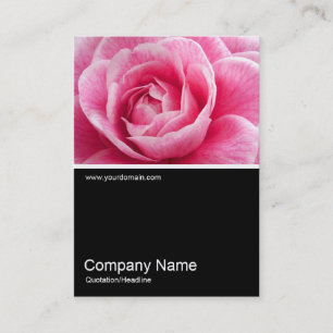Half&Half Foto 020 - Pink Camelia Visitenkarte