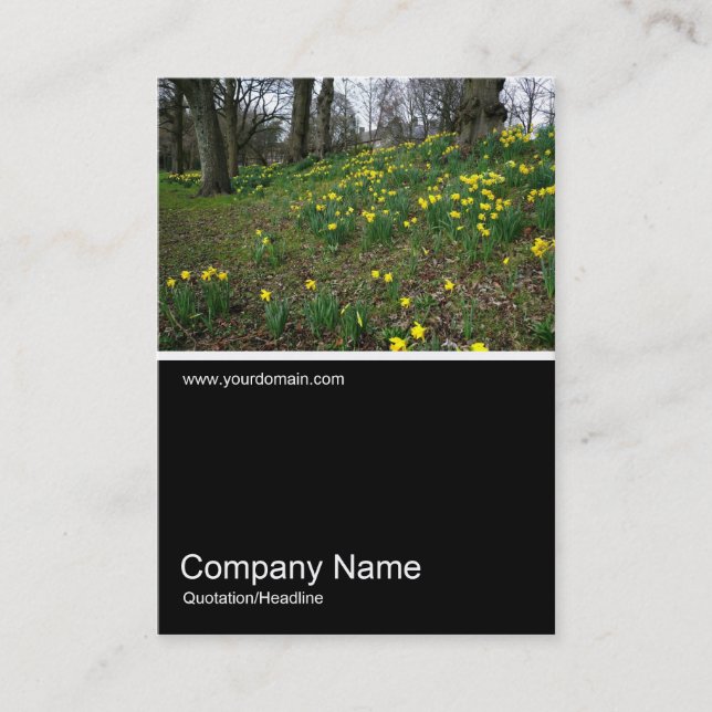 Half&Half Foto 021 - Affodils Visitenkarte (Vorderseite)