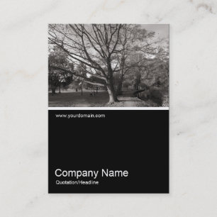 Half&Half Foto 0266 - Herbst im Park Visitenkarte