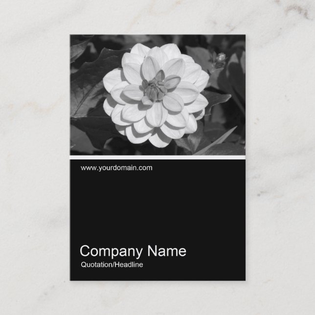 Half&Half Foto 0291 - Dahlia 'David Howard' Visitenkarte (Vorderseite)