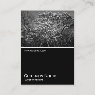 Half&Half Foto 0314 - Magnolia Tree in Blossom Visitenkarte