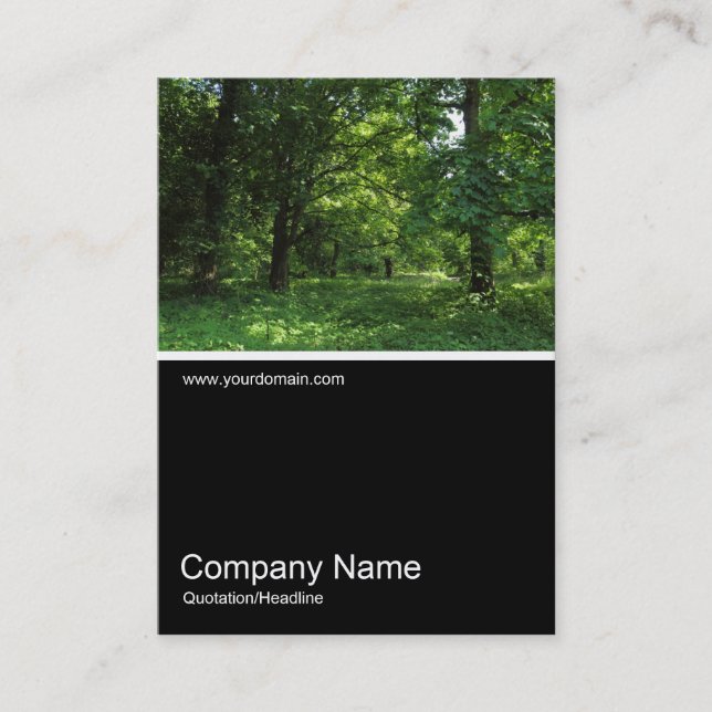 Half&Half Foto 0322 - Frühjahr im Wald 01 Visitenkarte (Vorderseite)