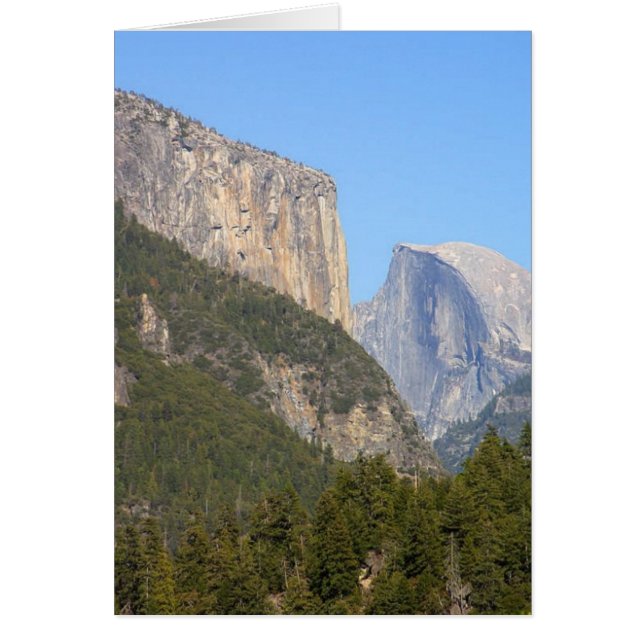 Halfdome Yosemite Forests (Vorne)