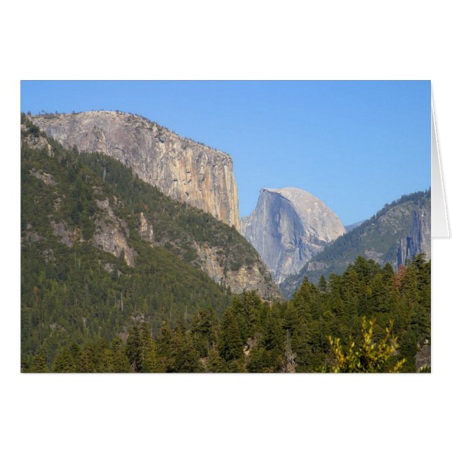 Halfdome Yosemite Forests (Vorderseite (Horizontal))