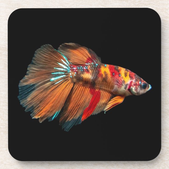 Halfmoon Betta Fish Getränkeuntersetzer (Vorderseite)