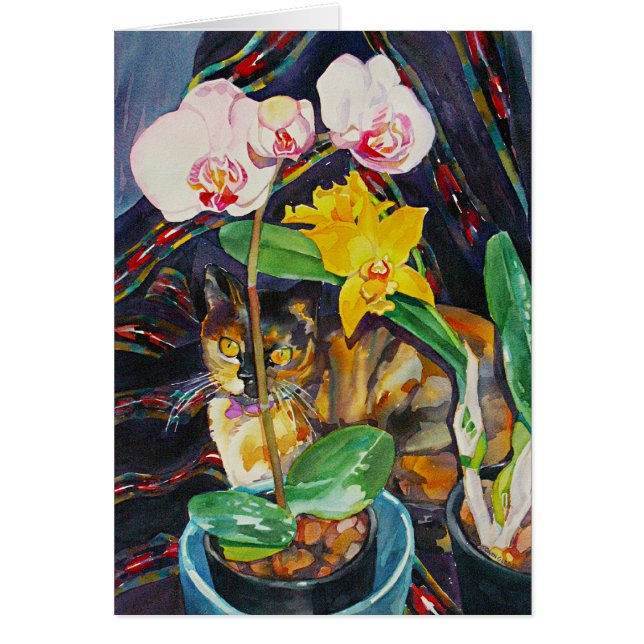 "Hälfte u. halbe " (Vorne)