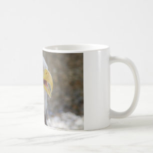 Haliäetus leucocephalus kaffeetasse