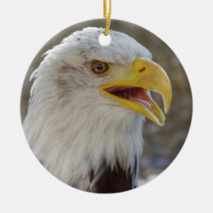 Haliäetus leucocephalus keramikornament