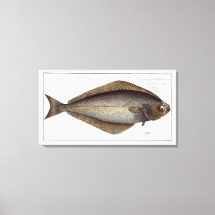 Halibut (Pleuronectes Hippoglossus) plate XLVII fr Leinwanddruck