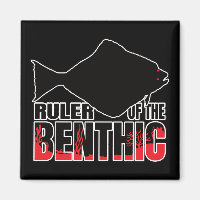 Halibuts Halibut Flatfish — Marine Geek