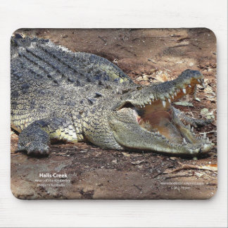Hallen-Nebenfluss Croc Mousepad