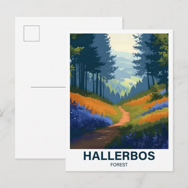 Hallerbos Forest Halle Brabant Flandria Belgien Postkarte (Vorne/Hinten)