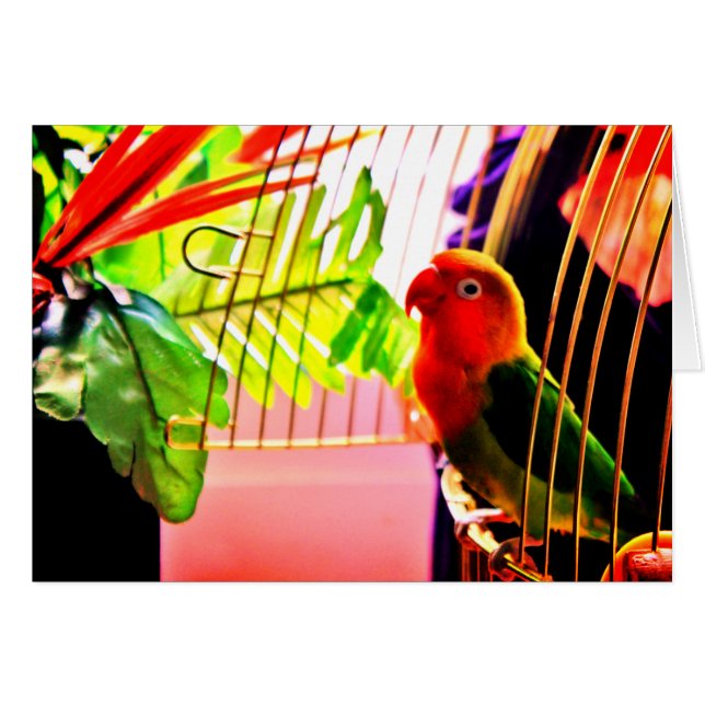 Hallo! (Vorderseite (Horizontal))