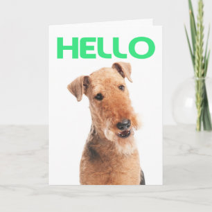 Hallo Airedale Welpen-Hund-Grußkarte Karte