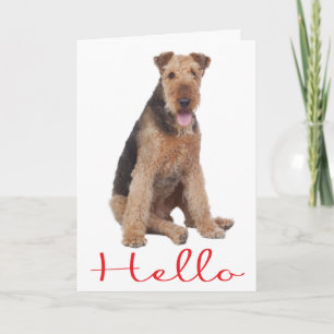 Hallo Airedale Welpen-Hund Grußkarte - Vers Karte