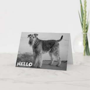 Hallo Airedale Welpen Hund Karte - Vers