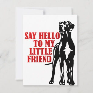 Hallo an meinen kleinen Freund