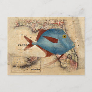 Hallo aus Florida Postkarte