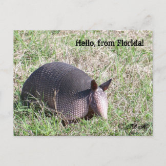 Hallo, aus Florida! Postkarte