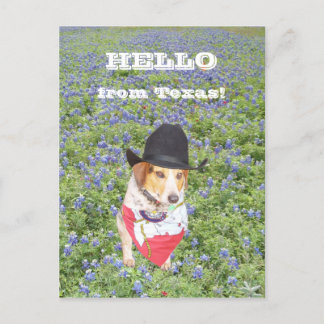 Hallo aus Texas! Postkarte