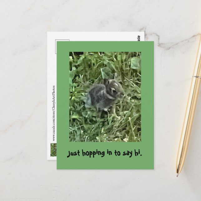 Hallo, Baby Bunny Rabbit Postkarten (Vorderseite/Rückseite Beispiel)