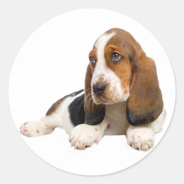 Hallo Basset Hound Welpe Hund Sticker / Label (Vorderseite)