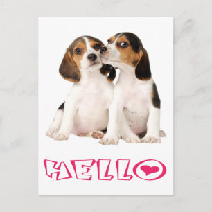 Hallo Beagle Welpen Hund Gruß Postkarte