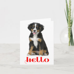 Hallo Berner Sennenhund Welpen Grußkarte Karte