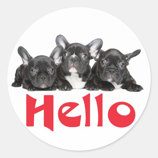 Hallo Black French Bulldog Puppy Docker Siegel Runder Aufkleber (Vorderseite)