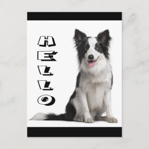 Hallo Border Collie Welpen Hund Grafik Postkarte