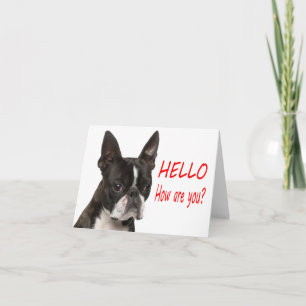 Hallo Boston Terrier Welpen Hund Notizkarte Karte