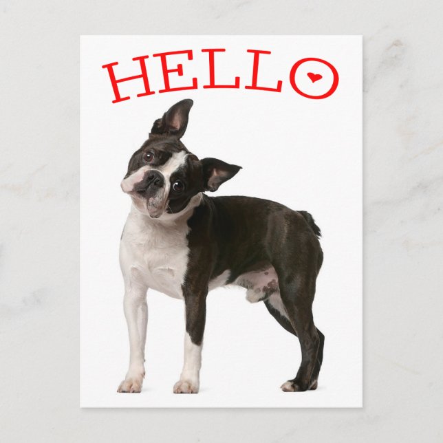 Hallo Boston Terrier Welppy Dog Red Denken Sie an  Postkarte (Vorderseite)