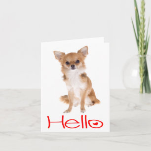 Hallo Chihuahua Welpen Hund Leere Karte