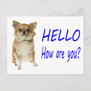 Hallo Chihuahua Welpen Hund Postkarte
