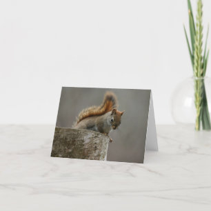 Hallo da dankeskarte