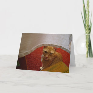 Hallo da karte