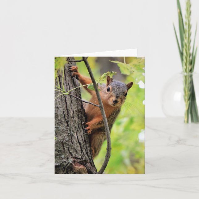 Hallo Da Note Card Feiertagskarte (Vorderseite)