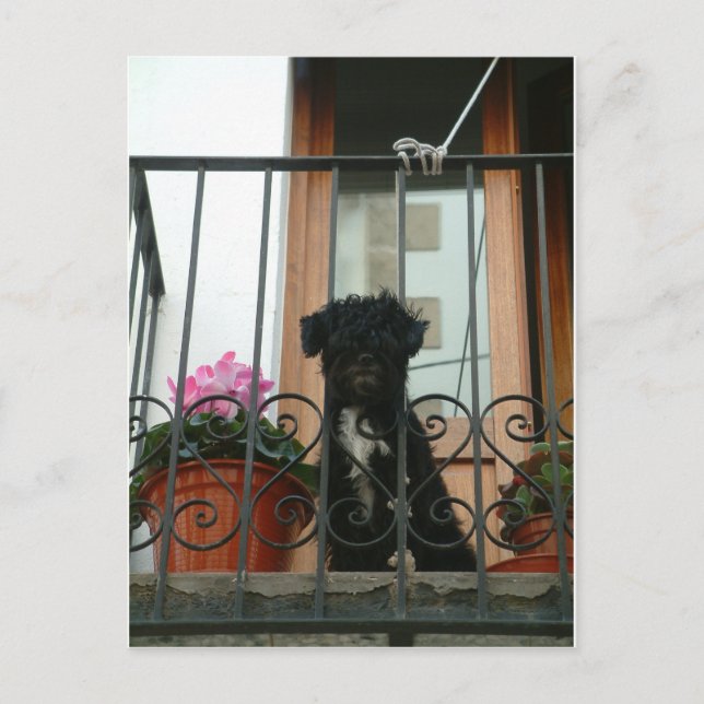 Hallo da unten Postkarte (Vorderseite)