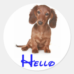 Hallo Dachshund Welpen Hund Aufkleber / Etikett