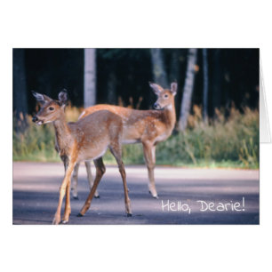 Hallo Dearie
