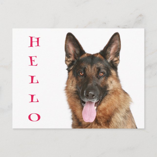 Hallo Deutsche Schäferhund Welpe Dog Blank Post Ca Postkarte (Vorderseite)