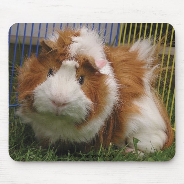 Hallo dort! (das Mousepad) Mousepad (Vorne)