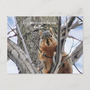 Hallo, einfach eintauchen feiertagspostkarte