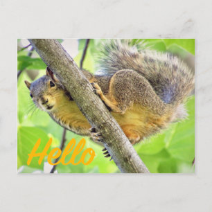 Hallo, einfach nur die Postkarte überprüfen