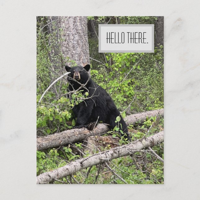 Hallo Es Black Beer Postcard Postkarte (Vorderseite)