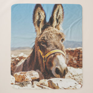 HALLO ESEL SHERPADECKE