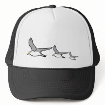 Hallo Fliegende Vögel