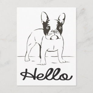 Hallo Französische Bulldogge Welpen Postkarte