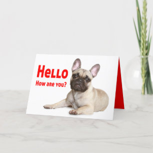 Hallo Französischer Bulldog Dog Denken Sie an Ihre Karte