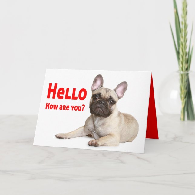 Hallo Französischer Bulldog Dog Denken Sie an Ihre Karte (Vorderseite)